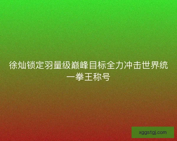徐灿锁定羽量级巅峰目标全力冲击世界统一拳王称号